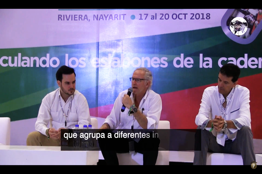 Ricardo Segundo y otros ponentes, durante el séptimo congreso de OPORPA
