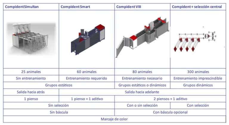 Modelos de producción para granjas porcinas de OPP